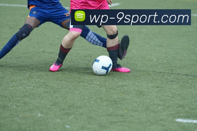 九游体育官网平台生态图